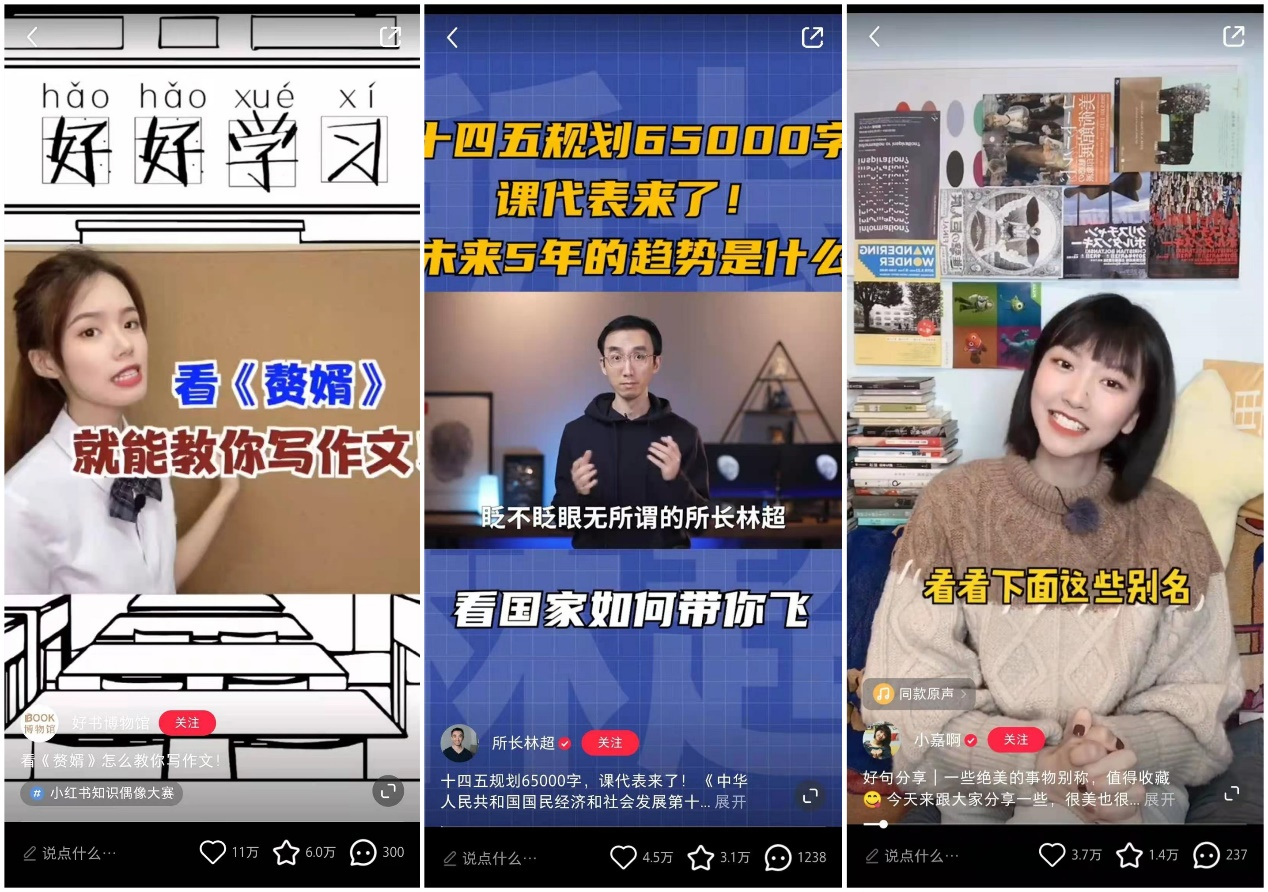 澳门六叔近期新闻视频回放，透视特区发展新动向与社区温暖瞬间