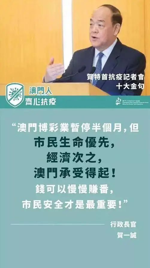 澳门六爷分析师视频大全，揭秘赌场风云与智慧分析的奥秘
