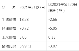 澳门六个牌照的持有者与使用情况分析