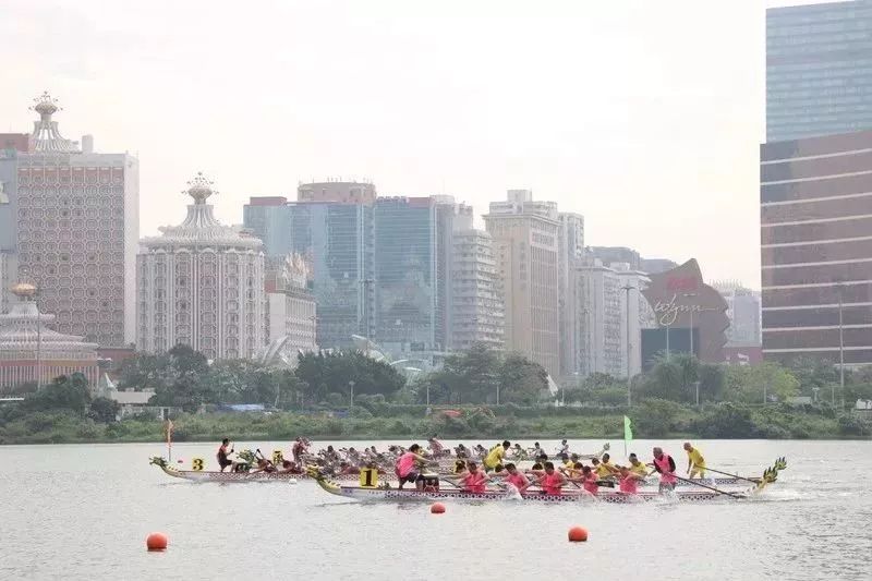 澳门六玄网坛，历史渊源、最新动态与今日解读