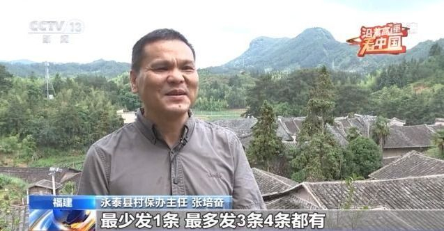 澳门六姐，揭秘背后的故事与文化