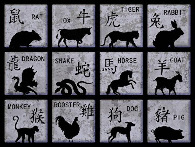 澳门六六大顺与生肖之谜，鸡边虎边的神秘面纱